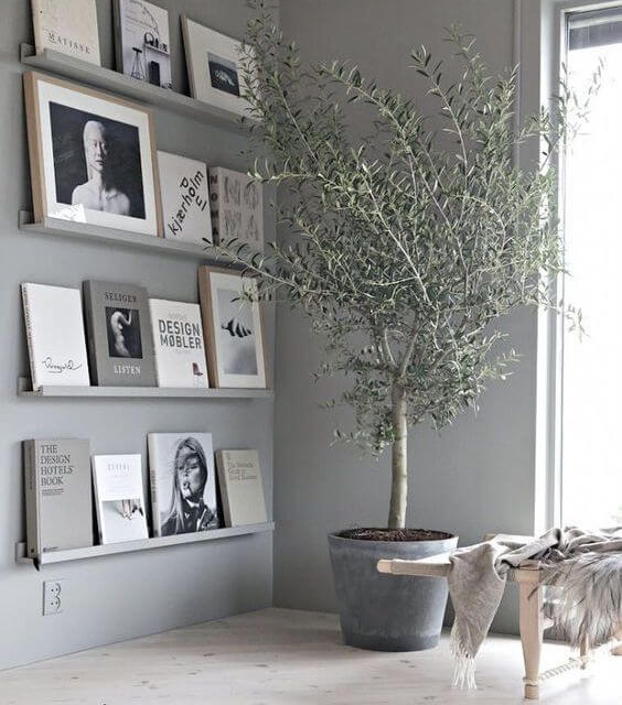 árbol olivo para decorar el hogar