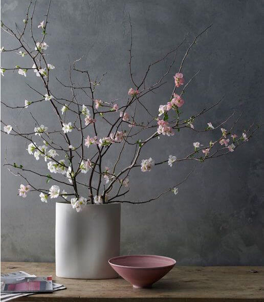 decorar la casa con ramas y brotes de plantas