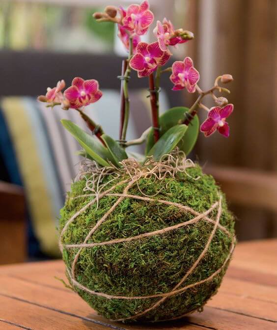 kokedamas japonesas para decorar mesas